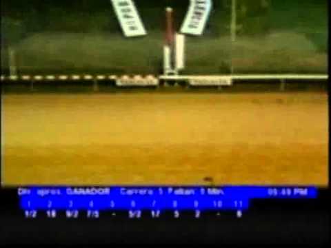 Resumen Jueves, 22 de Diciembre de 2011 - Valencia