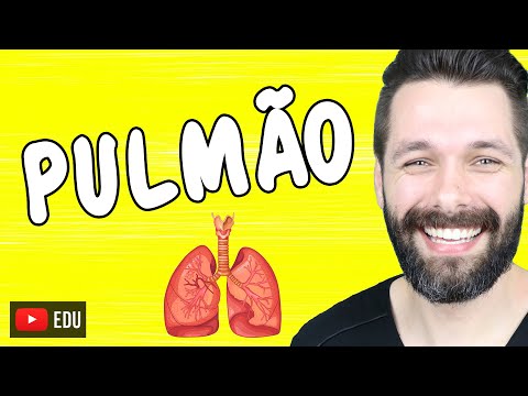 PULMÕES - Anatomia e Função - Sistema respiratório | Biologia com Samuel Cunha
