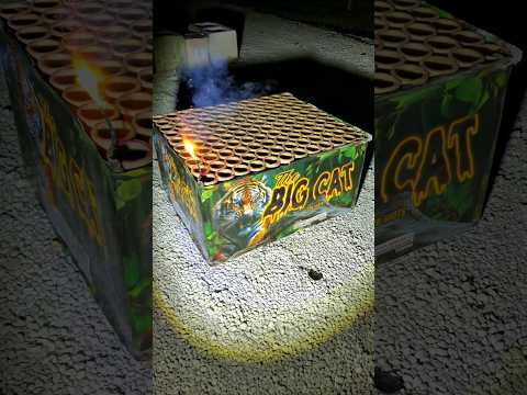 THE BIG CAT 120 SHOT FIREWORK CAKE #fireworks #pyro #4thofjuly #tiger #shorts #shortvideo #short 🐅