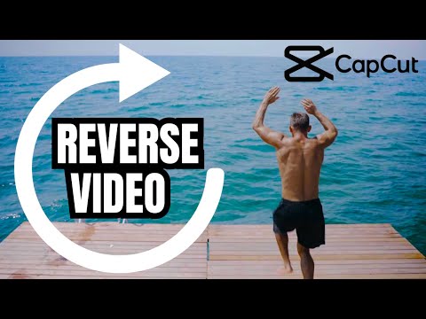 Easy Tutorial How to Reverse a Video on CapCut PC Quick Simple Steps