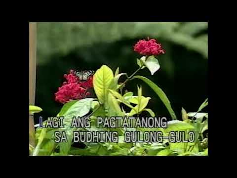 Nakaw na Pag ibig ~ KARAOKE ~ Claire Dela  Fuente