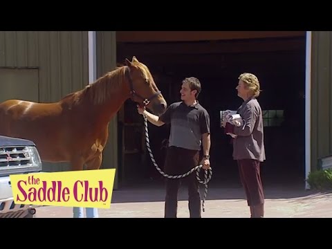 The Saddle Club - High Stakes Part II | Season 02 Episode 23 | HD | Full Episode