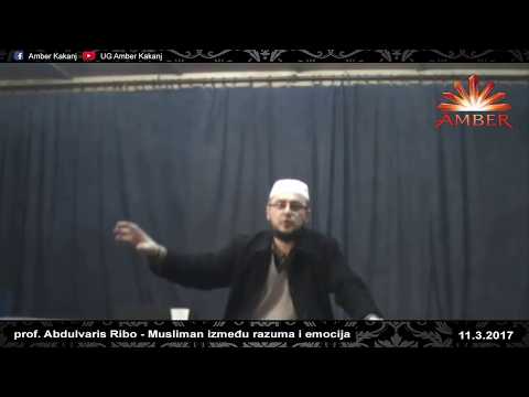 MUSLIMAN IZMEĐU RAZUMA I EMOCIJA | Abdulvaris Ribo prof.
