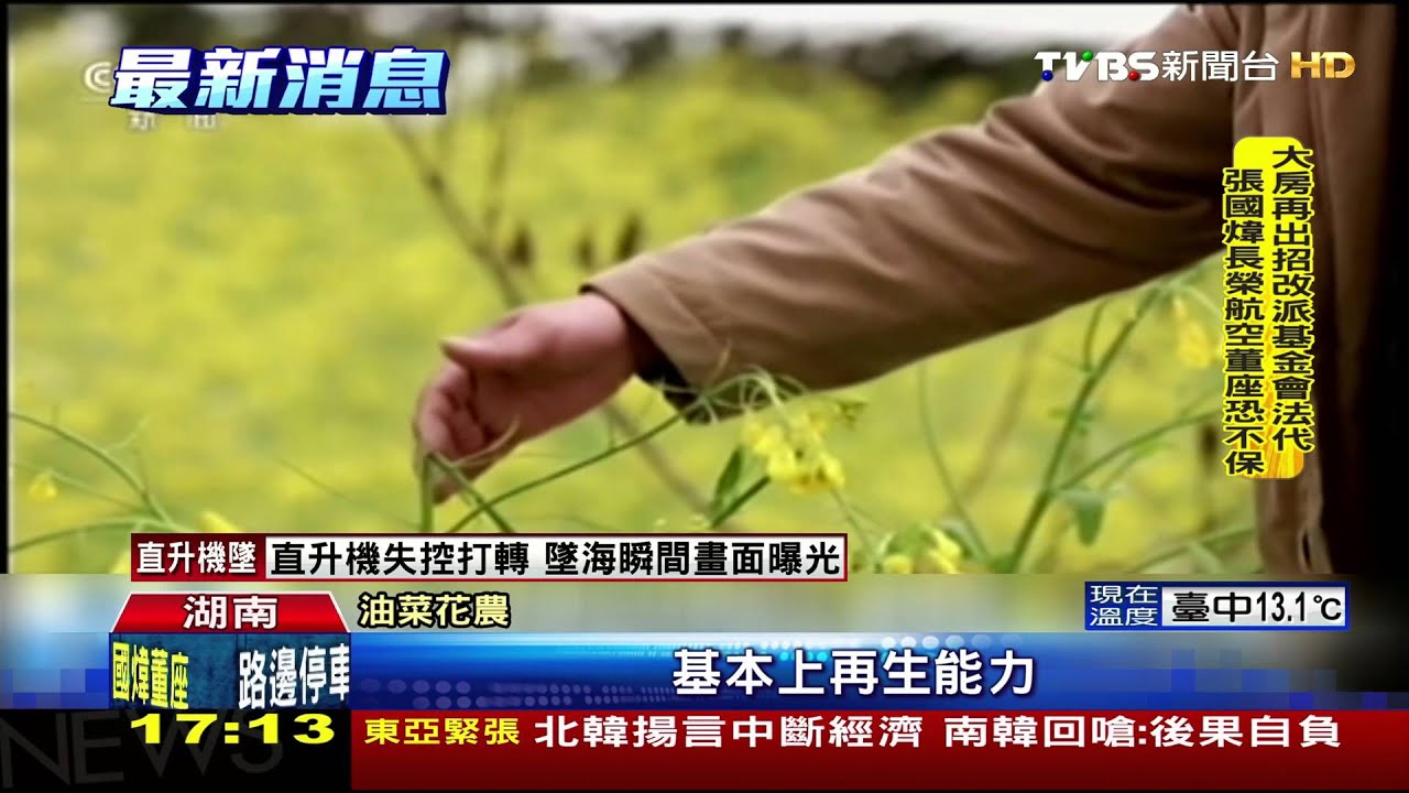 「倒春寒」下雪　陸多省氣溫驟降、花朵冰凍