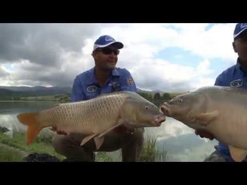 Haldorádó – Versenytitkok 14. rész – Method feeder praktikák nagy halakra