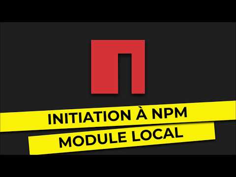 NPM Initiation Installer des modules localement 3 10