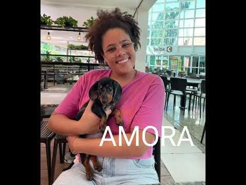 AMORA em Quinta do Sol PR  com  a Thaeme Thayna. Realizamos a grande entrega. Parabéns as irmãs. A