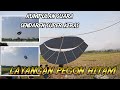 Kumpulan Suara Sendaren Super Keras Layangan Pegon Hitam