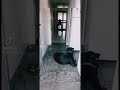 Ghost Prank On My Dog To See His Reaction It Ran Like No Body S Business