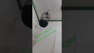 Download lagu korlap jawa barat mp3 Download lagu korlap jawa barat mp3