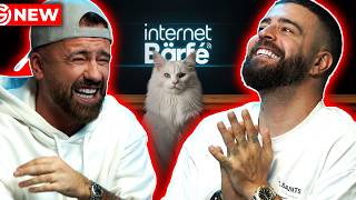 Download lagu Cum ne manipuleaza pisicile? - INTERNET BARFE mp3 Download lagu Cum ne manipuleaza pisicile? - INTERNET BARFE mp3