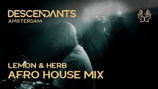 LEMON & HERB DJ set
