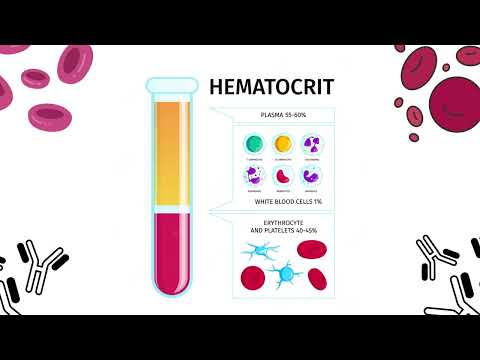 Doenças virais: Dengue