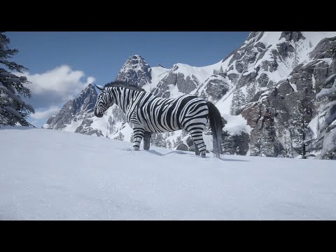 Red dead redemption 2 rare zebra horse cought
