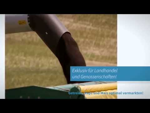 Agrarmarkt-Check - Getreide, Raps und Mais optimal vermarkten