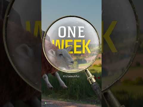 One Week