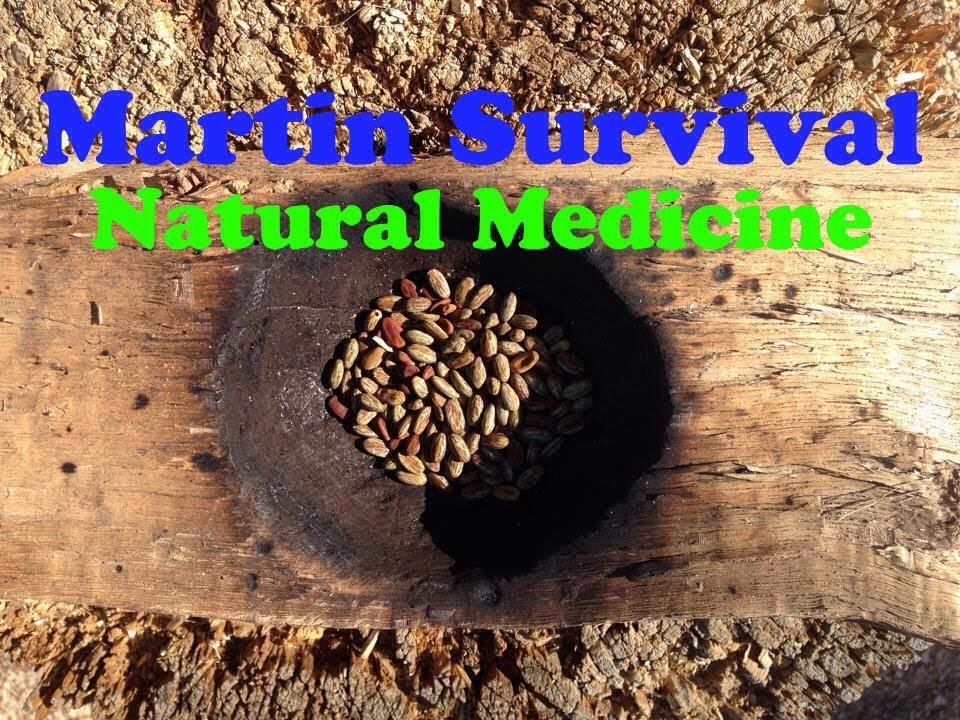 Natural Medicine the Beavertail Cactus - YouTube