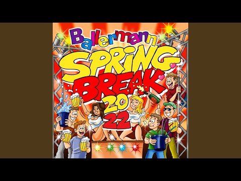 Bier spielt die Musik (feat. Die Fufffies)