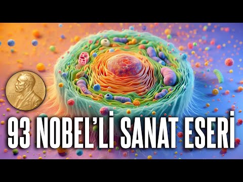 Vücudun Enerji Santralleri