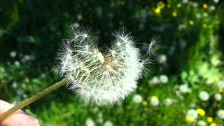 Biagio Antonacci se fosse per siempre