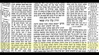 יבמות דף קיג