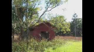 preview picture of video 'abandon house titusville 1'