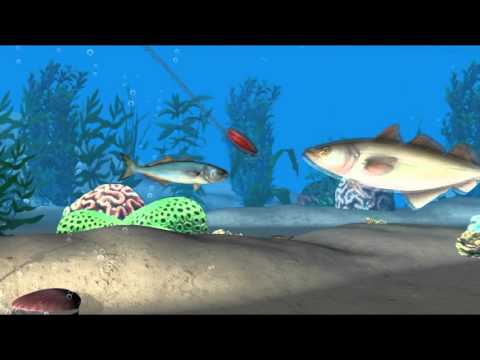 Fish Pro: Fishing Extreme 3D Video