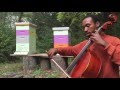 Blessing the Hive Bach Cello Suite No 1 Prelude