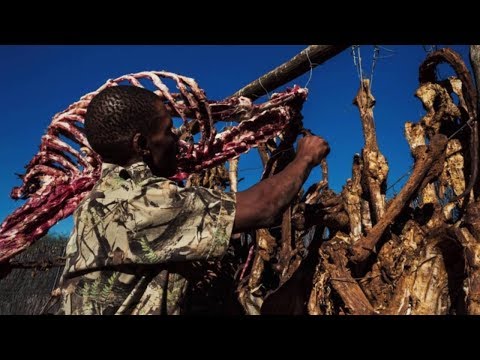 What is the lion bone trade? | Blood Lions®