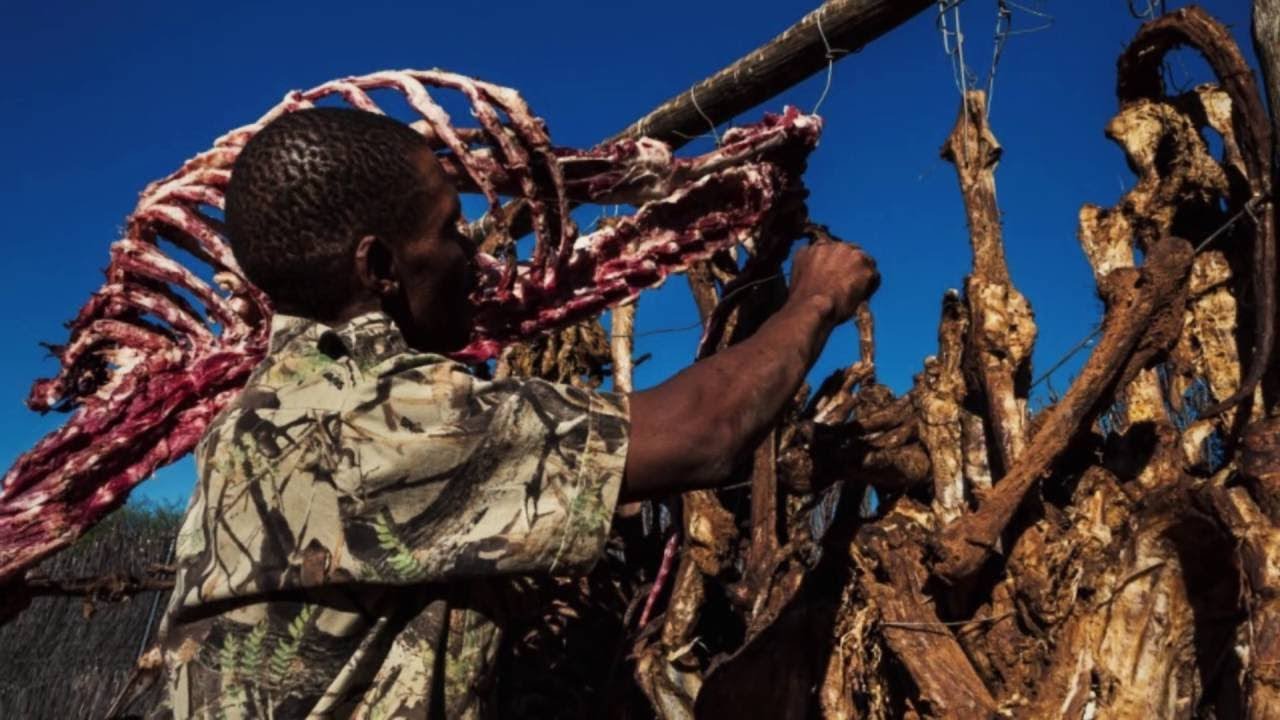 What is the lion bone trade? | Blood Lions®