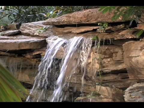 Indoor Water Feature Garden Pond By Hickory Hollow Landscapers at Anthony's Pier Nine