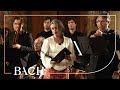 Bach - Cantata Wir danken dir... BWV 29 - Van Veldhoven | Netherlands Bach Society
