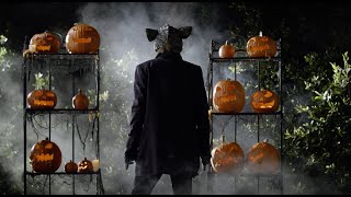 Трейлер превью