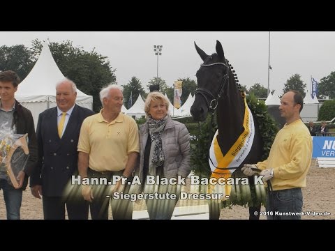 Herwart von der Decken-Schau 2016