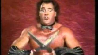 WWE Survivor Series 1989 (1989) Video