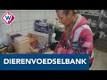 Dierenvoedselbank voor mensen die voer voor hun huisdier niet kunnen betalen - OMROEP WEST