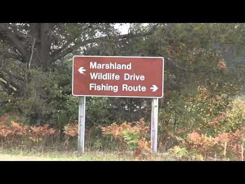 Great Getaways: Seney National Wildlife Refuge - Top of the Lake Circle Tour