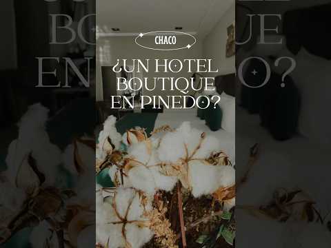 Un hotel boutique en General Pinedo, Chaco? 😱 #ytshorts #shorts #generalpinedo #chaco