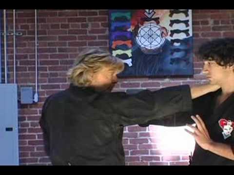 Dynamic Kenpo with Larry Tatum