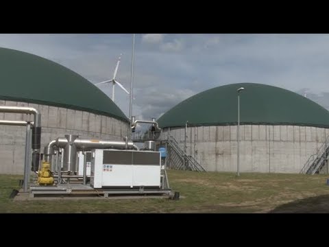Dlaczego niektórzy członkowie duże i małe inni Operacja ma na członka na Ukrainie