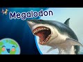 The Megalodon Animals For Kids Learning Videos For Kids