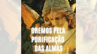 Vídeo: a importância de rezar pelas almas do purgatório.