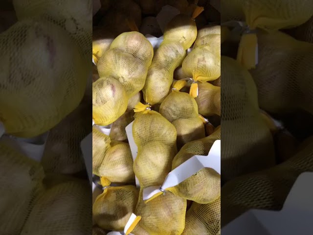 Стандарт поставки видео №1 Чеснок Любаша