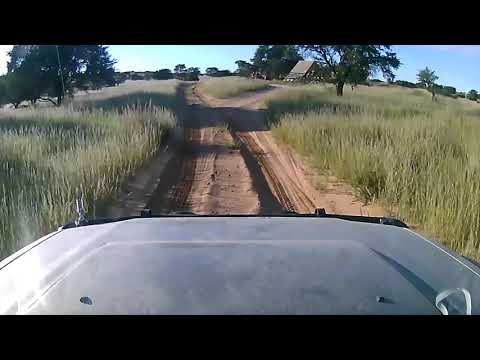 Wildcamp bushcamp at Rooiputs camp in the Kgalagadi- Camp Dashcam video #overlanding #botswana