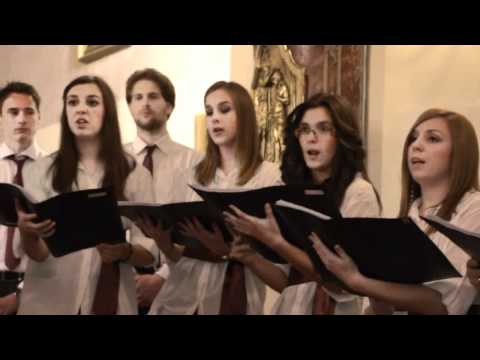 Zbor Allegro - Jur nijedna na svit vila