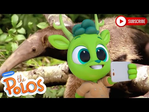 Chester And His Antlers | Adventure Learning | MarcoPolo World School | Learn At Home - Kingdom Kids Zone, Little Learners - The Polos and MarcoPolo Learning
