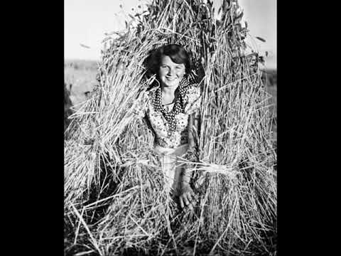 Lay In The Hay - Harry Roy And His Bat Club Boys, from the Bat Club, London - Oriole P 100