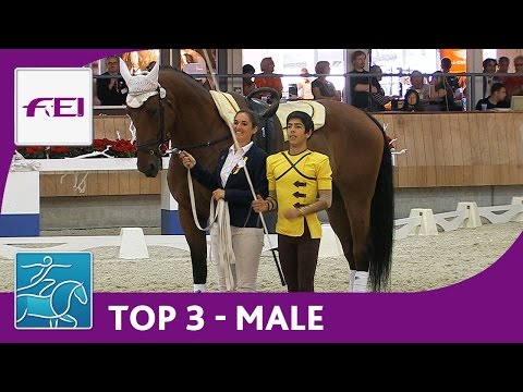 Top3 Male - Vaulting - Ermelo - FEI World Vaulting Championships for Juniors