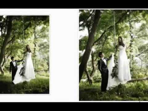 Alshin- The Wedding Series
