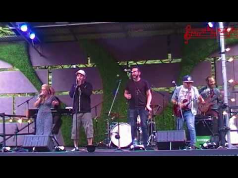 Rock das Dach 2017 - The Dimps